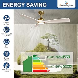 BvenuBigLite Ceiling Fan with Light Modern: 52 Inch