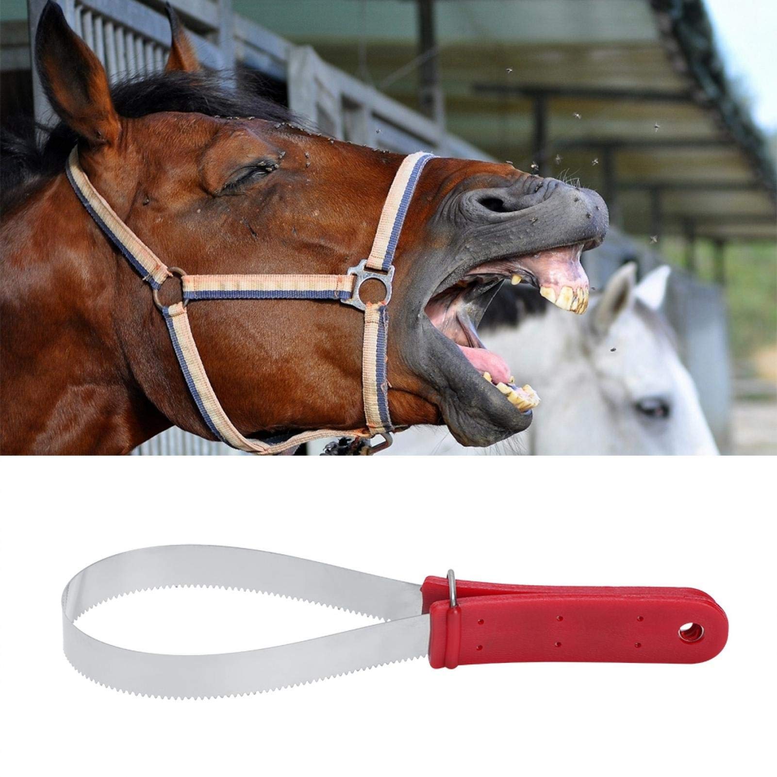 FOTABPYTI Horse Groomer Horse Shedder Scraper, Horse Groomer Scraper Shedder Scraper Tool Horse Shedder Scraper Tool, Horse Tool Horse Accessory for Horse Groomer