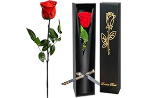 Leebean Red Single Forever Roses in a Box,Preserved Flowers for Delivery,Preserved Rose Gifts for Women, Real Roses Gift for Her, Mom Birthday Gifts, Mothers Day Flowers,Valentines Flowers