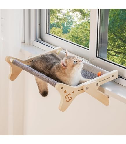 Cama Gato En Ventana Jspupifip Asiento De Ventana Para Gatos En El