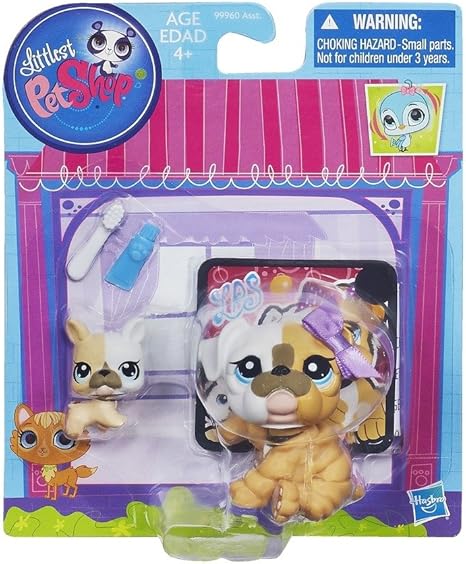 merle applehead chihuahua