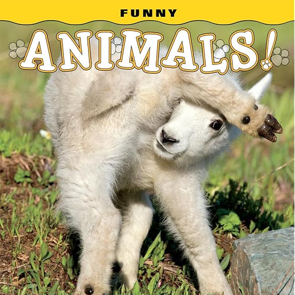 Sad Animal Facts: Baby Talk: Barker, Brooke: 9780752266602: Amazon
