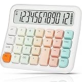Pendancy Calculators Desktop 12 Digit, Gradient