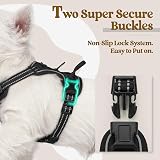rabbitgoo Dog Harness Small No Pull Front Back Clip Adjustable Reflective XS view 4