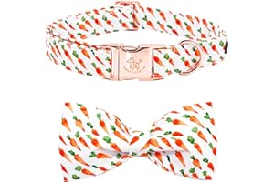 Elegant little tail Easter Dog Collar, Dog Collar with Bowtie, Carrots Cute Boy or Girl Pet Collar Bow Dog Collars Adjustable Dog Collar for Small Dogs
