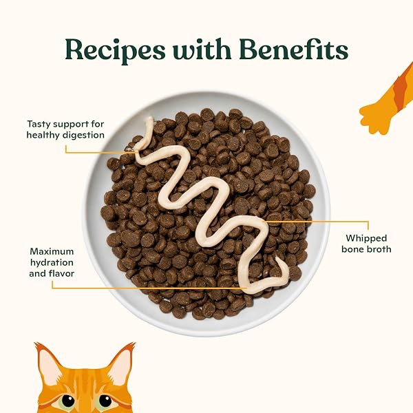 MADE BY NACHO LICKABLE CAT TREATS MOUSSE TUBES 12 COUNT WITH BONE BROTH SALMON & TUNA RECIPE (.5 OZ) NO GRAINS, CORN, WHEAT OR SOY