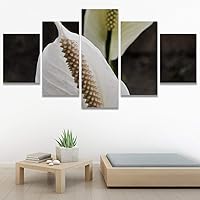 SIGNWIN 5 Panel Canvas Wall Art White Fields for Home Decorations Ready to Hang - 60
