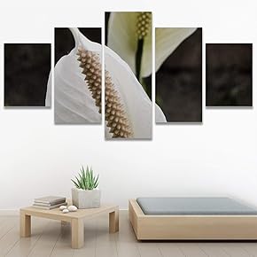 SIGNWIN 5 Panel Canvas Wall Art White Fields...