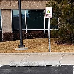 SmartSign Frog Lovers Parking Only Violators Toad