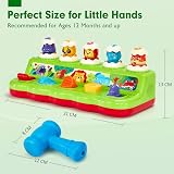 Hahaland Pop Up Montessori Toy with Hammers for 12 Months+ Boys & Girls view 8