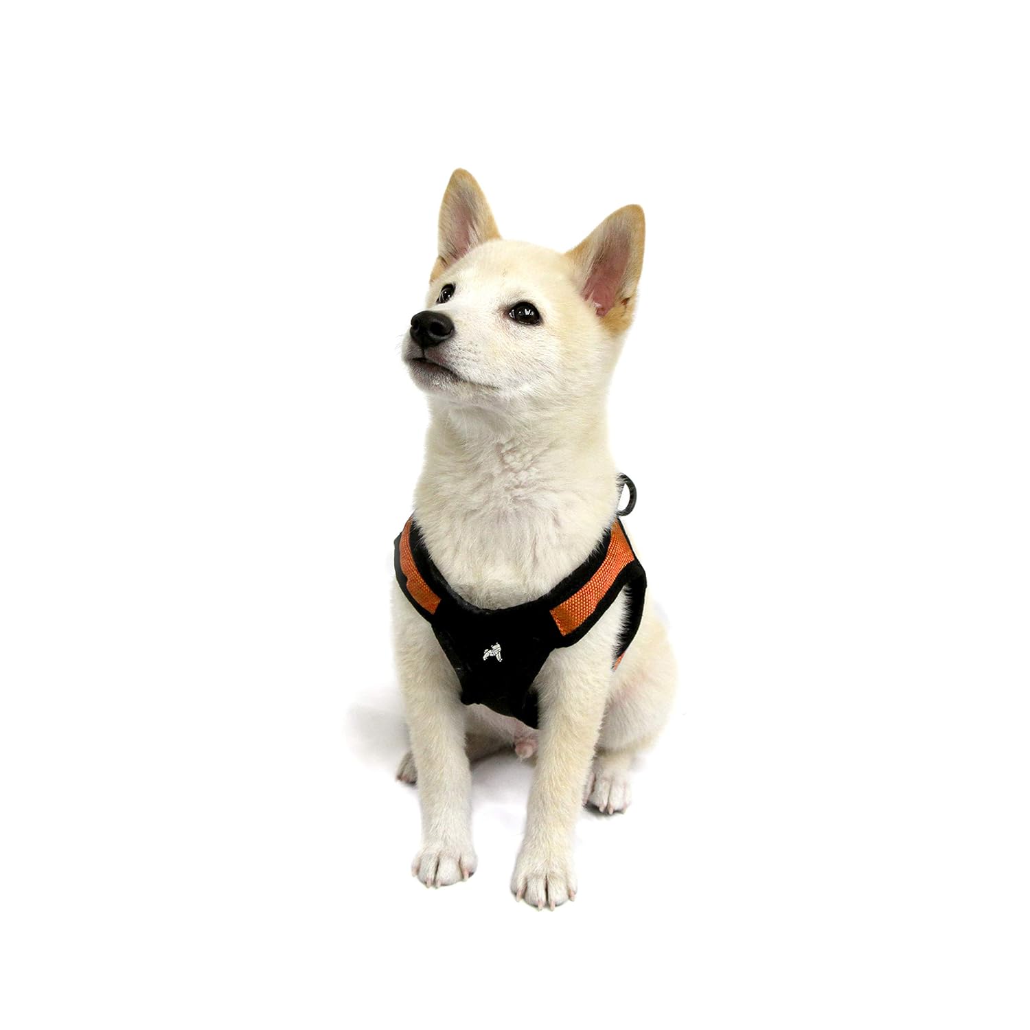 gooby easy fit harness small