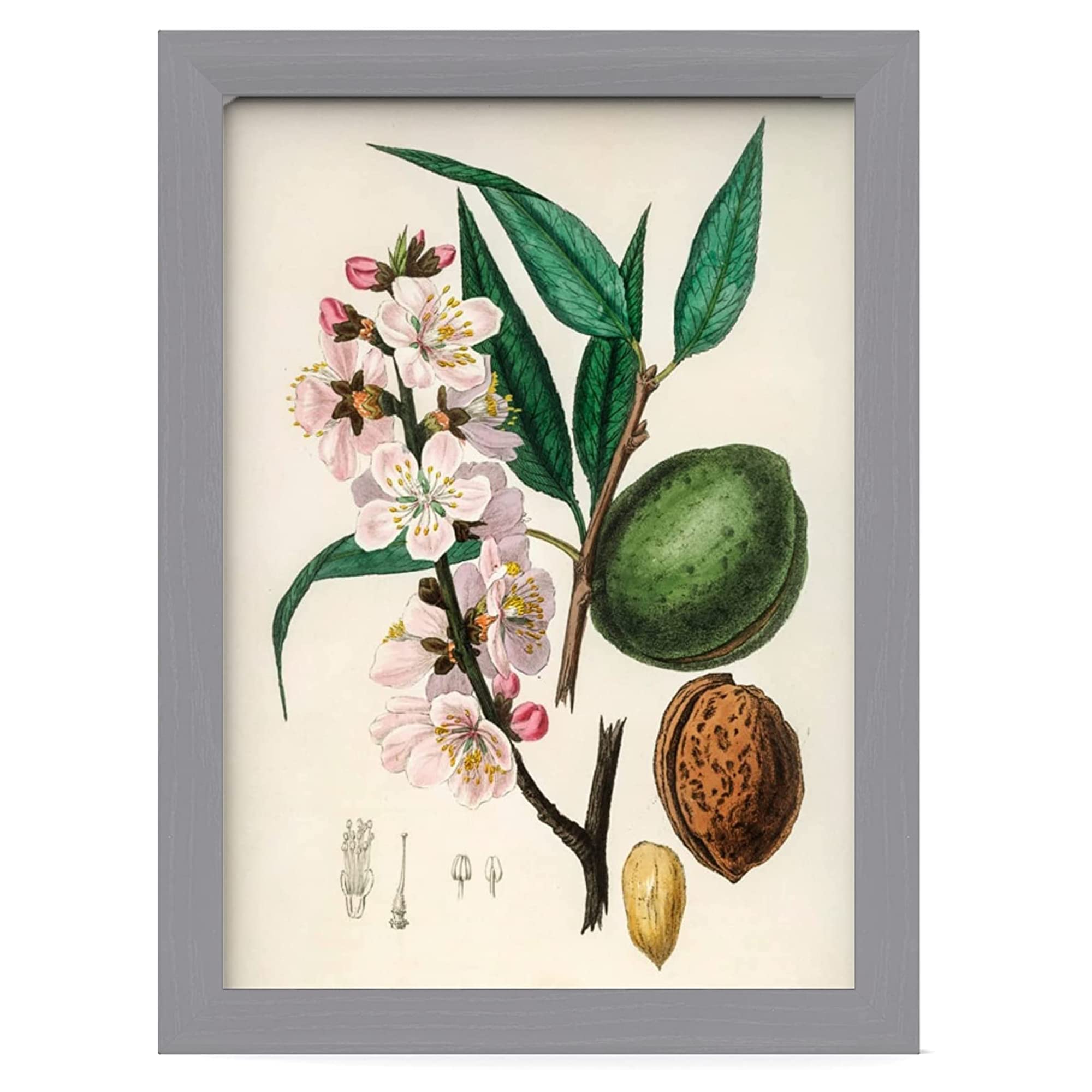 MH Traders Silver A4 Picture Frame - Wall Mounted Photo Frame for Pictures Posters & Certificates - 30 x 21 CM A4 Size Compact Picture Frames