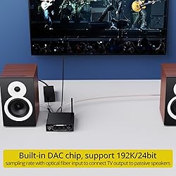 PROZOR 192kHz/24bit Digital Stereo Audio