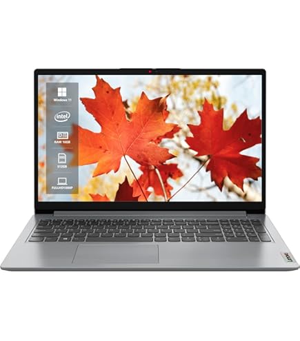 Dell Inspiron 15-5505 5000 Series 15.6-inch Laptop (AMD