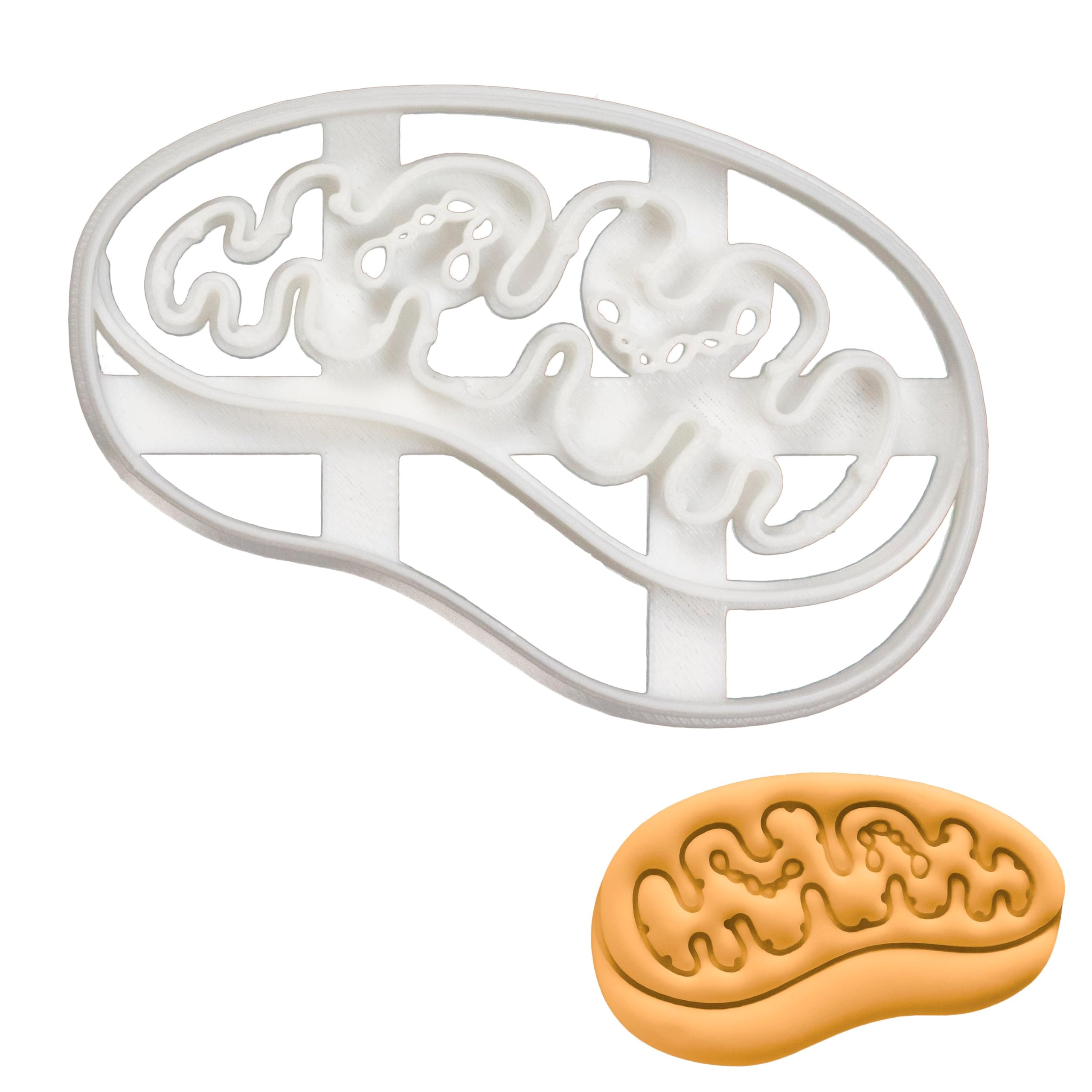 BAKERLOGY Mitochondria Cookie Cutter - Detailed Biscuit Cutter Design for Baking and Crafts, Ideal on Fondant, Dough, Clay