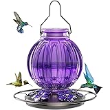 Glass Hummingbird Feeder for Outdoors Hanging, Bird