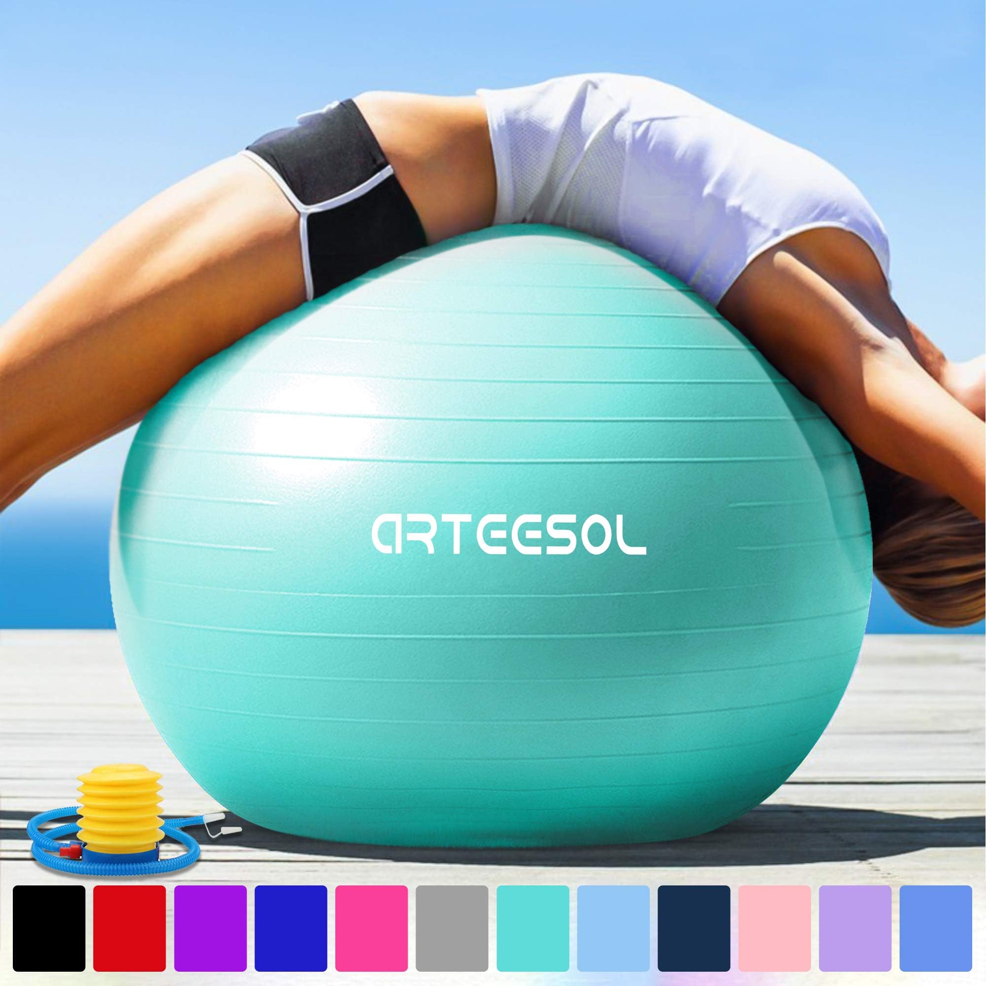 Arteesol Exercise Ball 45cm / 55cm / 65cm / 75cm Anti-burst Anti-slip Yoga Swiss Ball Birthing Ball Quick Pump Fitness Gym Yoga Pilates Core Training Physical Therapy