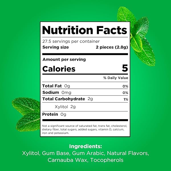 PUR GUM | ASPARTAME FREE CHEWING GUM | 100% XYLITOL | NATURAL SPEARMINT FLAVORED GUM, 55 PIECES (PACK OF 3)
