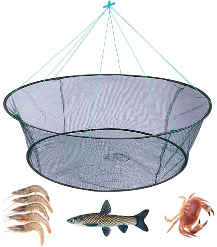 Amazon.com : Foldable Round Fishing net, Open Pull Fishing net 150cm Diameter, 50cm Diameter When Folded, Floating Shrimp cage, Shrimp net, Shrimp Trap, cage Fishing net : Sports & Outdoors Amazon.com : Foldable Round Fishing net, Open Pull Fishing net 150cm Diameter, 50cm Diameter When Folded, Floating Shrimp cage, Shrimp net, Shrimp Trap, cage Fishing net : Sports & Outdoors