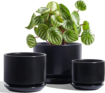 Amazon Com Le Tauci Indoor Plant Pots With Drainage Holes And Saucers 6 6 5 5 4 Small To Large Sized Ceramic Pots For Plants Set Of 3 Black Garden Outdoor