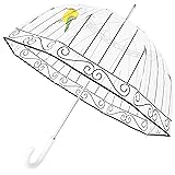 Kung Fu Smith Clear Birdcage Umbrella, Dome Bubble