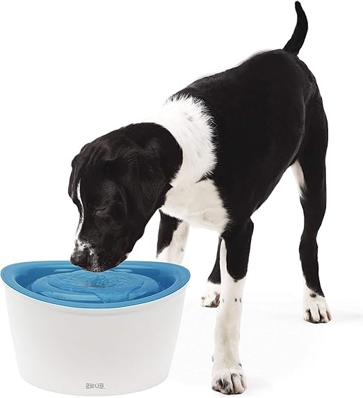 dog it design water fountain