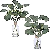 Zheart 2 Pack Small Fake Plants Eucalyptus Potted,Artificial Eucalyptus Stems in Glass Vase with Faux Water for Shelf Desk Bathroom Farmhouse Room Office Coffee Table Kitchen Home Decor (Green)