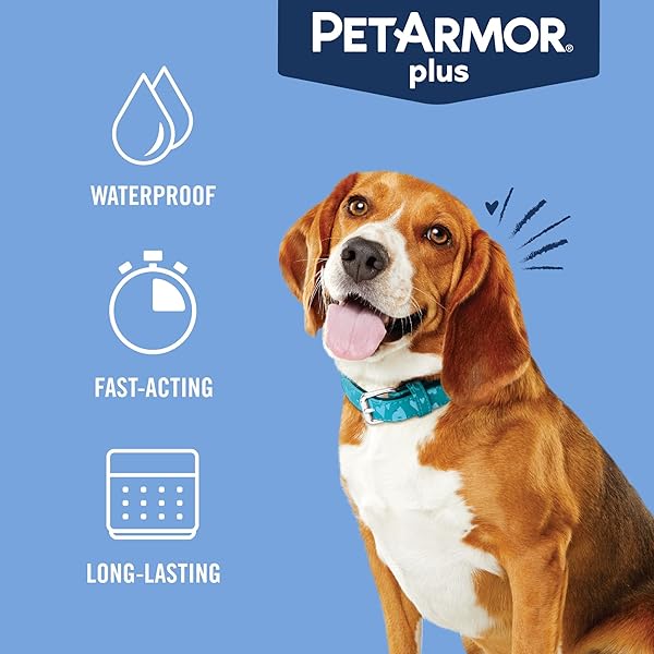 PETARMOR PLUS FLEA AND TICK PREVENTION FOR DOGS, DOG FLEA AND TICK TREATMENT, 6 DOSES, WATERPROOF TOPICAL, FAST ACTING, MEDIUM DOGS (23-44 LBS)