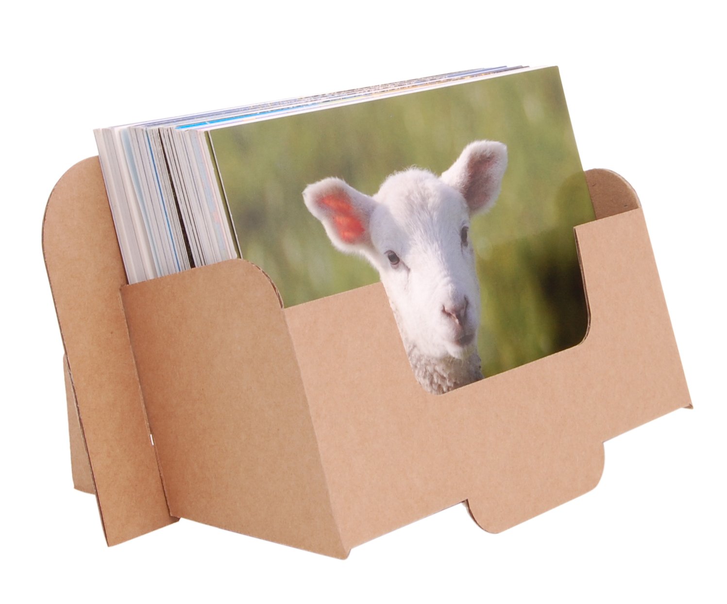 Buy StandStore CARDA6L Cardboard Leaflet Dispenser for A6 Landscape