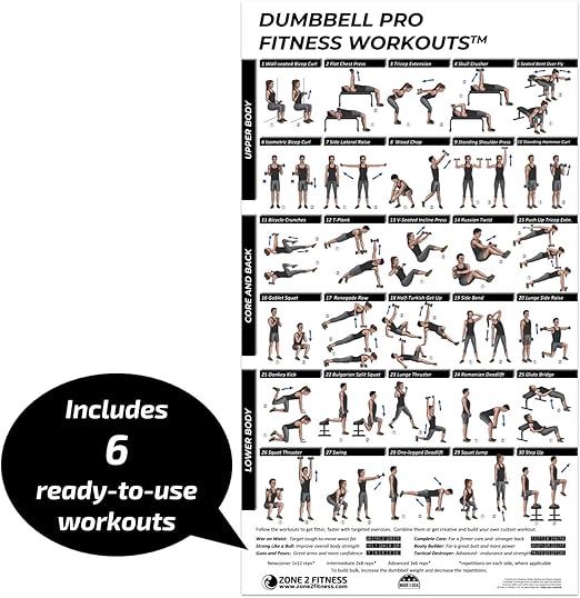 Zone 2 Fitness Humbbell Pro Fitness Workout Poster Amazon De