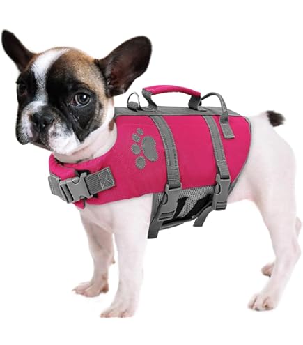 Gilet de sauvetage pour chien - Design aileron de requin - Coupe ajustée - Bandes antidérapantes - Flotteur avant