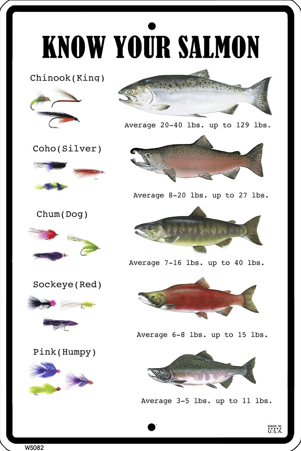 CROSSWALKS Know Your Salmon 10" X 15" Aluminum Sign (WS082)