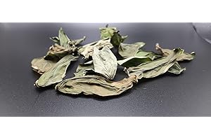 Basil Leaves | Deep Flow - Organic Hydroponic Dried Fresh Flavor, Convenient Gourmet Herb