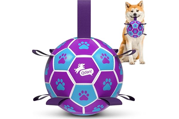 QDAN Durable Dog Balls, Outoor Play Dog Toys, Floatable Water Balls with Straps, Herding Balls for Dog Training Enrichment, 6
