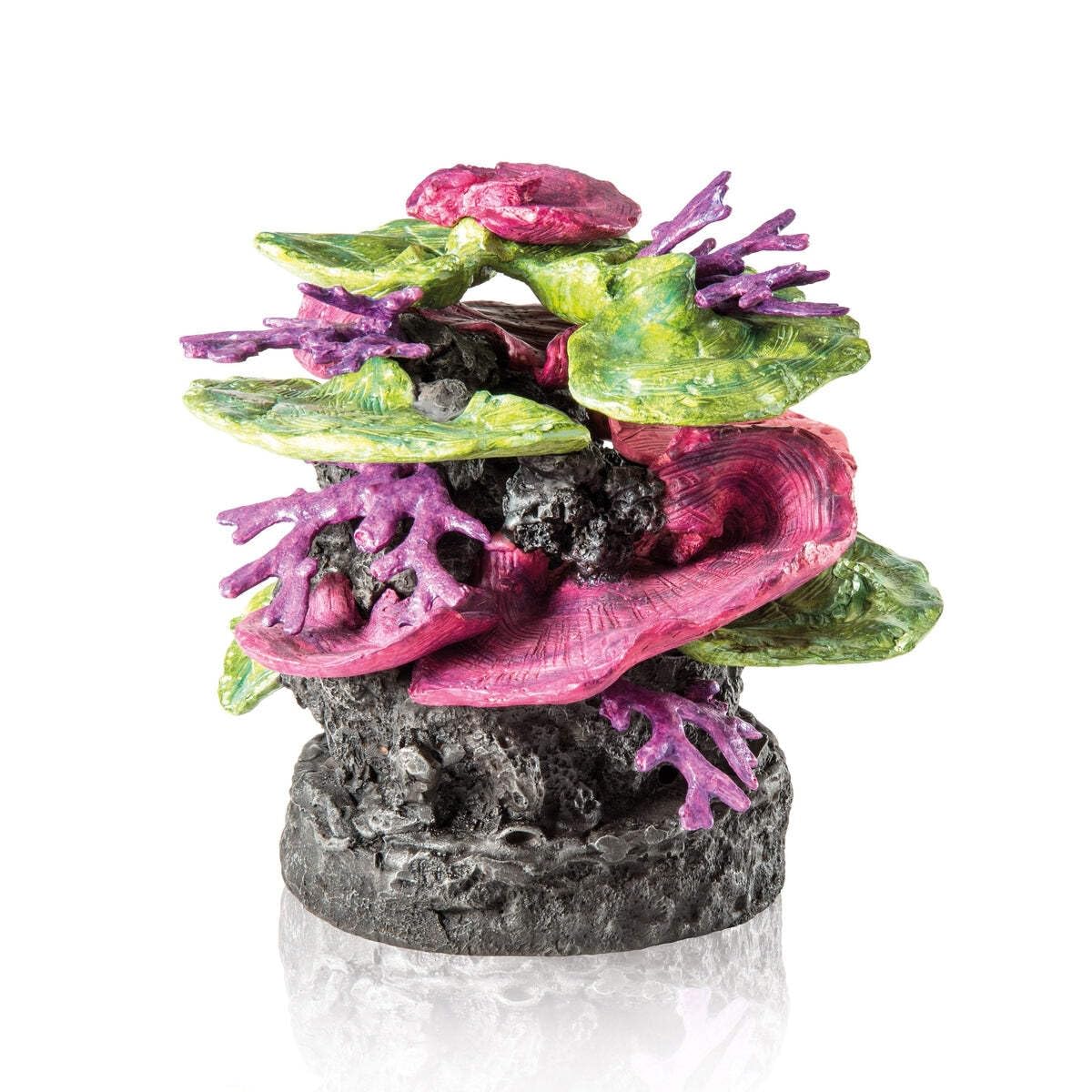 biOrb Coral Rock Ornament green-purple