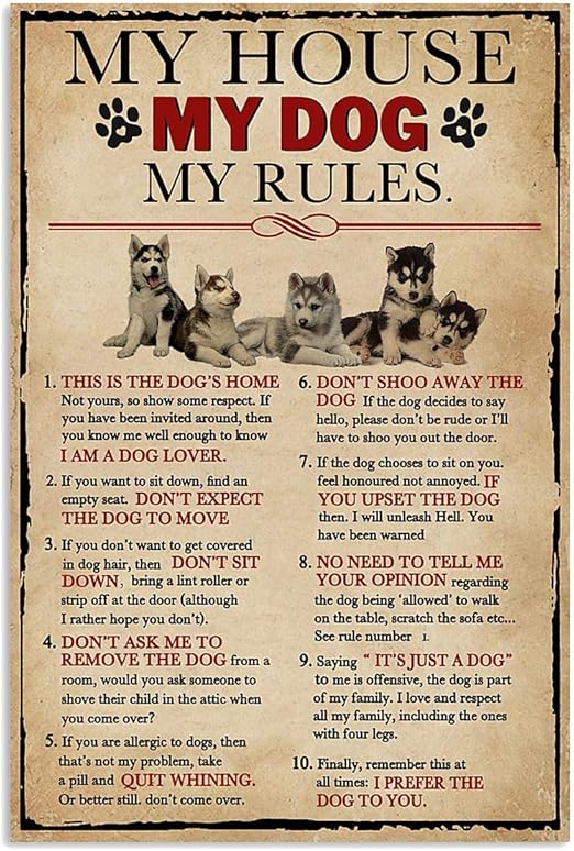 this is my dog's house