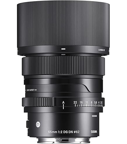 Amazon.com : Sigma 65mm F2.0 DG DN for Sony E Mount : Electronics