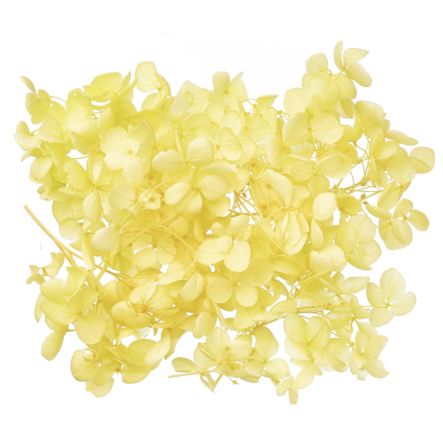 The Baked Studio - Original Dried Flower Hydrangea Set For Cake & Cupcake Decorating & Others Crafts (Yellow)