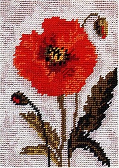 Anchor Poppy Beginners Tapestry Kit 