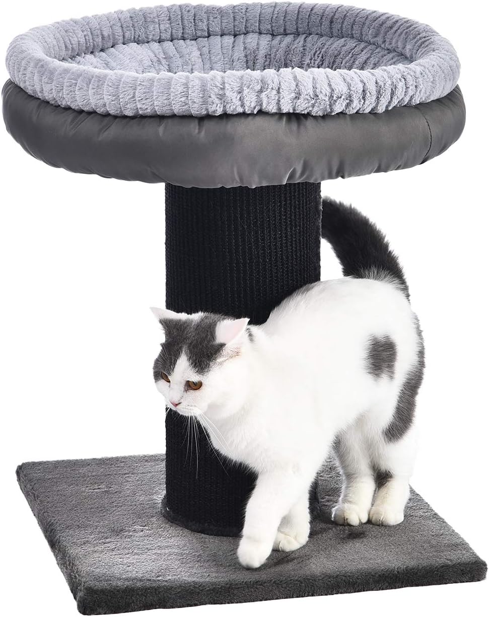 Basics Extra Large Cat Scratching Post Tree Tower With Bed, 19 x 19 x 26 Inches, Black : Pet Supplies