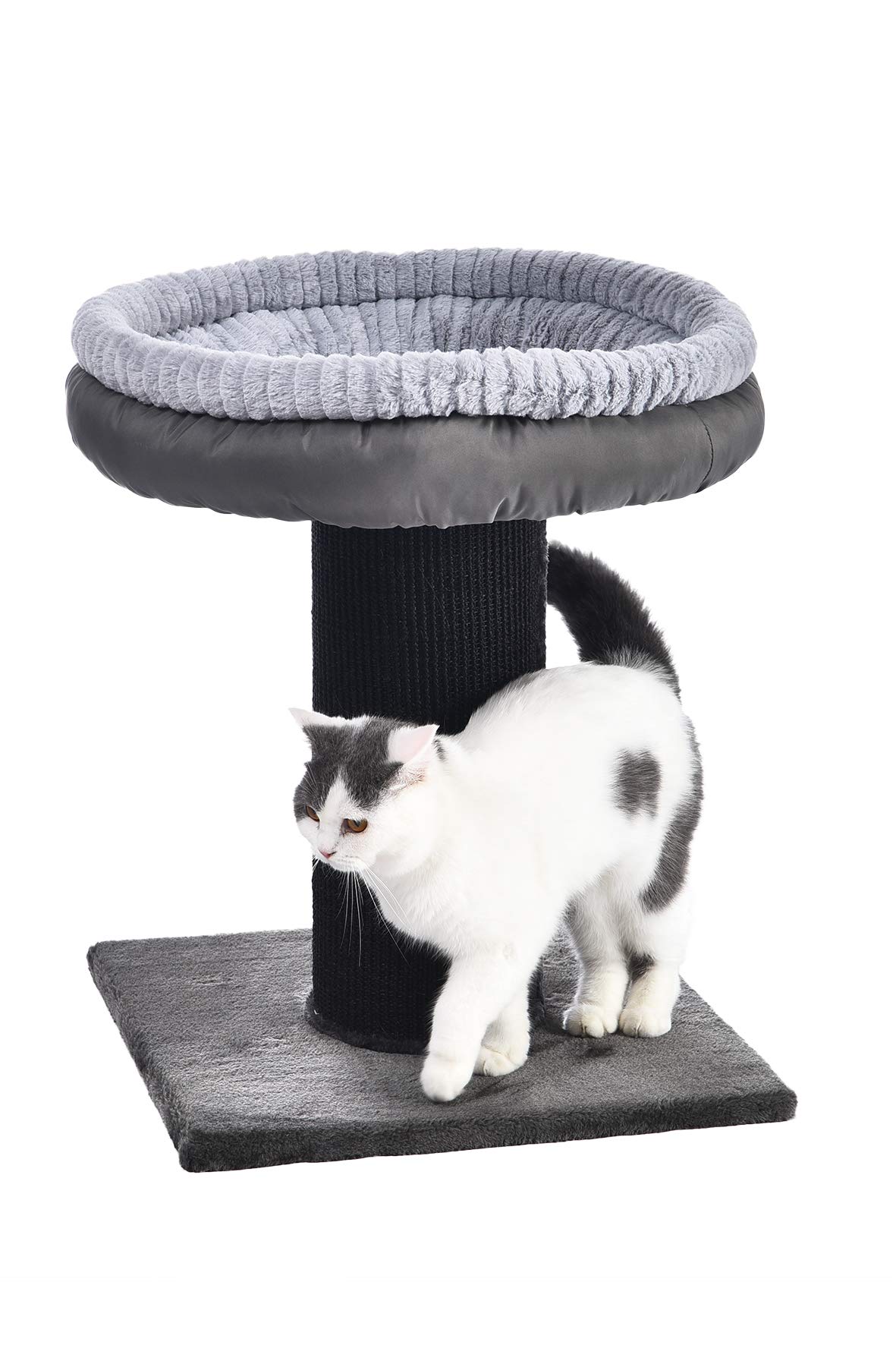AmazonBasics Extra Large Cat Scratching Post Tree Tower With Bed 19 X