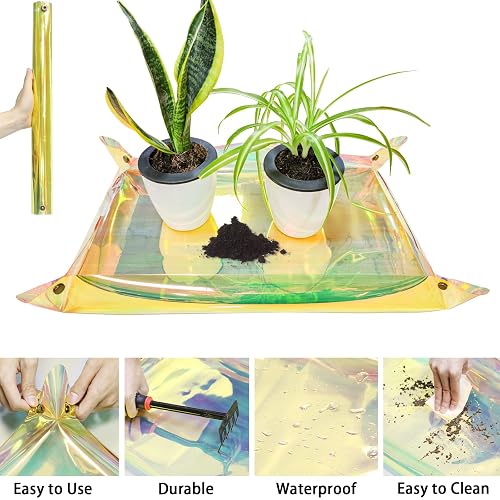 large pots for monstera Monstera Deliciosa | Tropical Indoor Plants & Houseplants