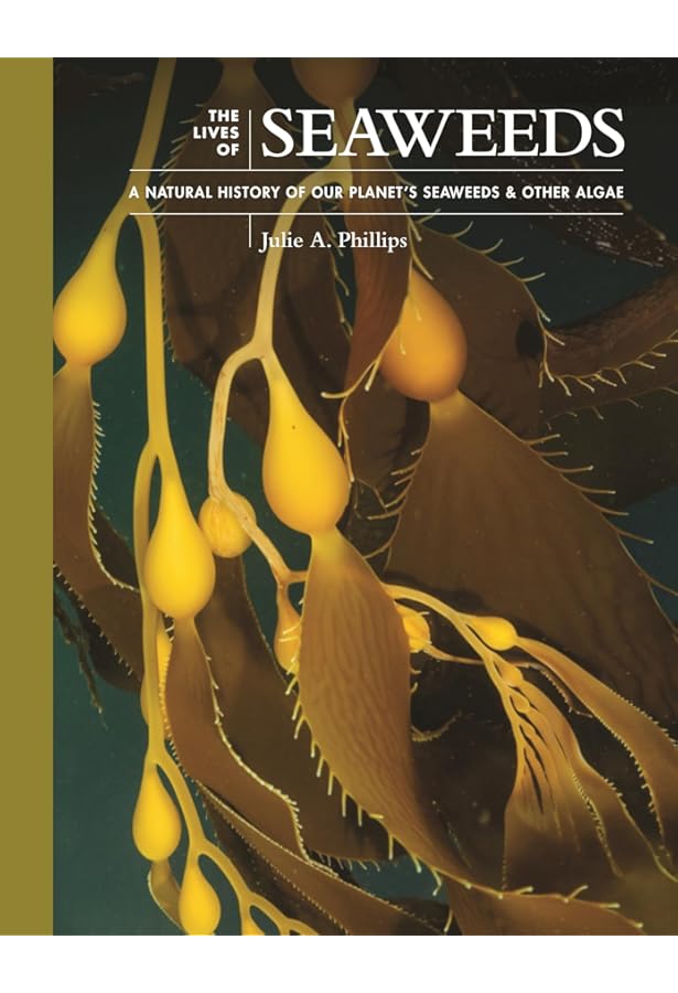 洋書 The Biology and Ecology Octopus Biology and Ecology: Bio-ecology, Fisheries and