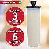 Spares2go Descaling Filter Cartridge for Karcher SC2/SC3 Upright Steam Cleaner view 8