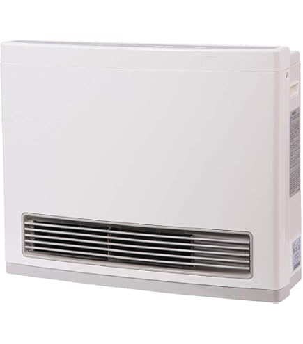 Amazon.com: Rinnai EX08DTP Direct Vent Wall Furnace, Indoor