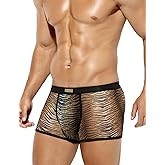 Arjen Kroos Men Sexy Underwear Low Rise Mesh Trunks Novelty Print Boxer Briefs