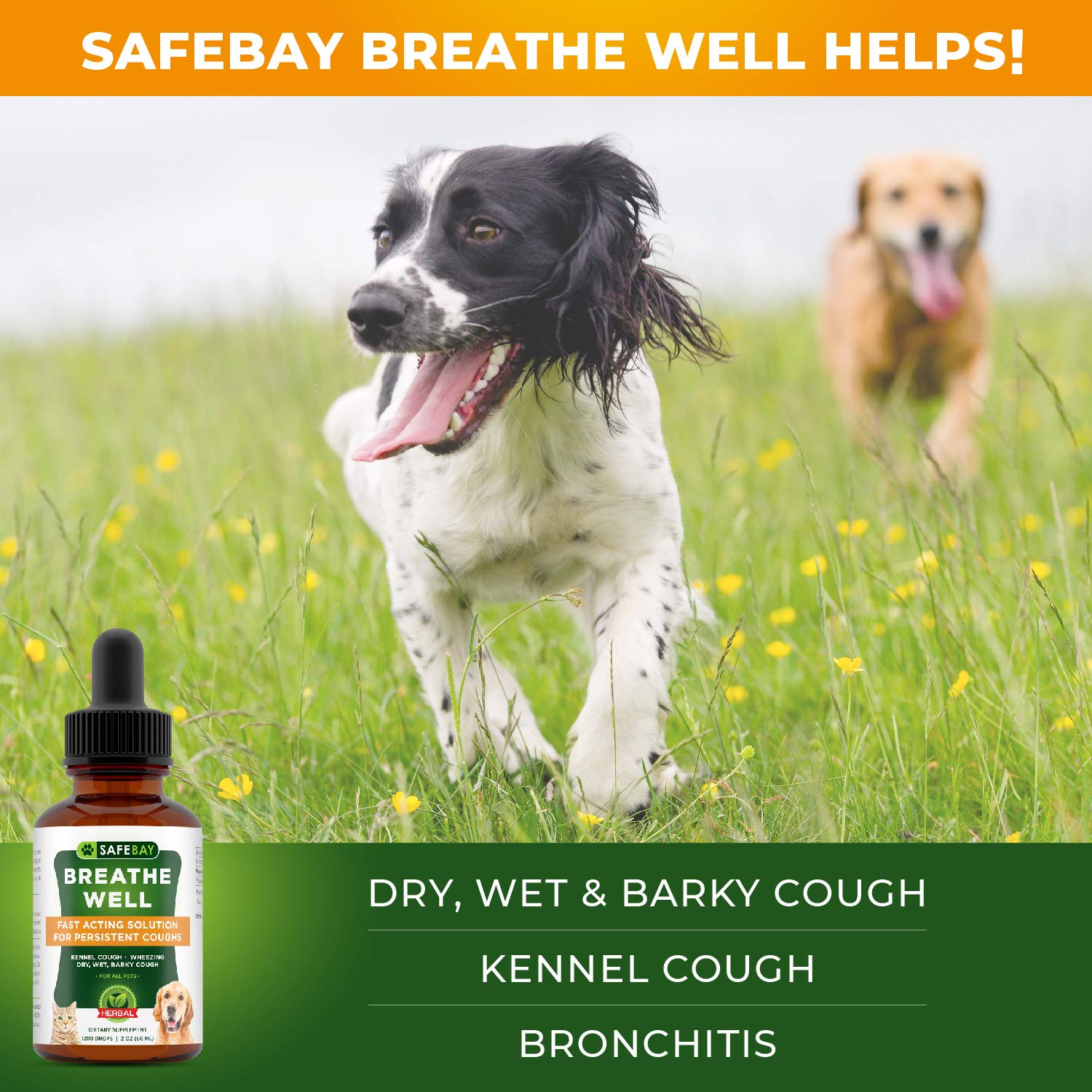 SafeBay Dog Supplement and Cat Supplement Premium Quality Made in USA