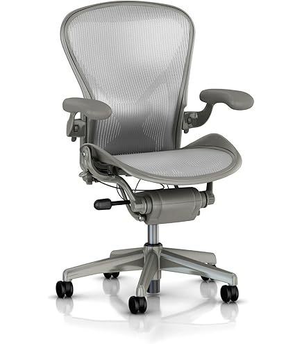 Amazon.com: Herman Miller Mirra Chair Fully Loaded - Free Warranty