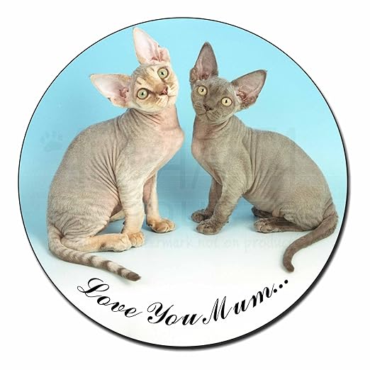 Devon Rex Gatos Love You Mum Imán de nevera animales regalo ...