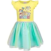 Paw Patrol Everest Rubble Marshall Chase Skye Girls Dress Toddler to Big Kid